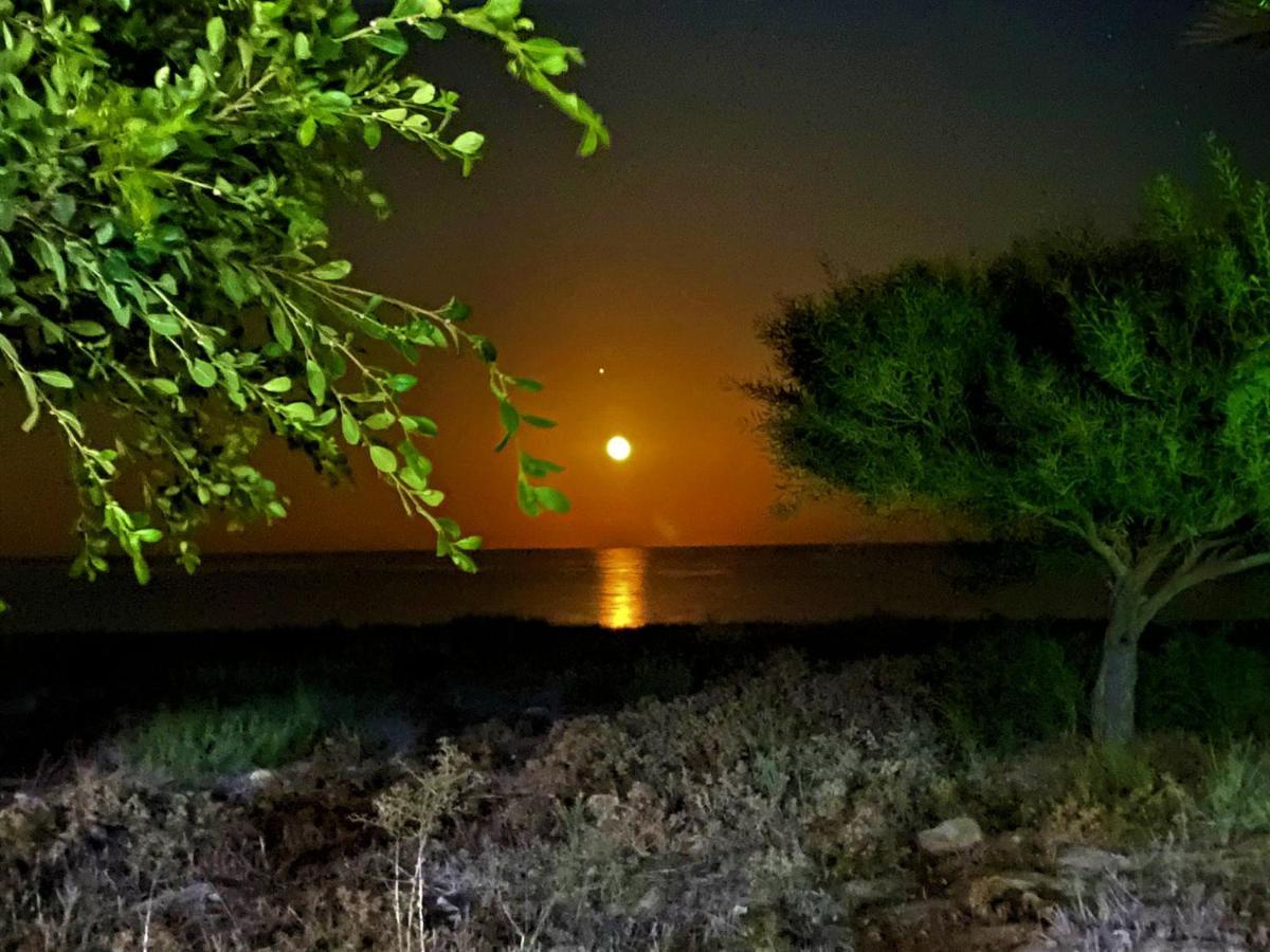 Paradise Karpaz Hotel & Restaurant Rizokarpaso エクステリア 写真