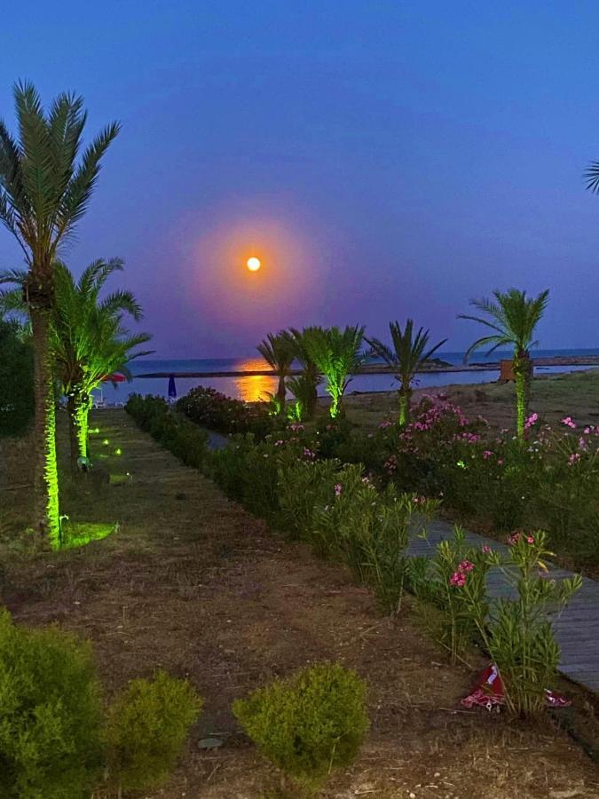 Paradise Karpaz Hotel & Restaurant Rizokarpaso エクステリア 写真